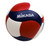 Mikasa V200W Indoor FIVB Game Ball- Free shipping