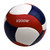 Mikasa V200W Indoor FIVB Game Ball- Free shipping