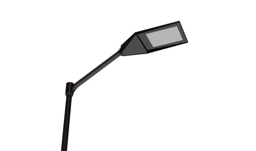 20 ft Single Head LED-VCL Volleyball Light